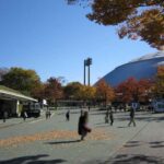 Tokyo: Totoro Forest Hiking Tour in Sayama Hills - An In-Depth Look at the Sayama Hills Totoro Forest Tour