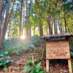 Tokyo: Totoro Forest Hiking Tour in Sayama Hills - An In-Depth Look at the Sayama Hills Totoro Forest Tour