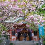 Tokyo Tower Adventure 60 Minute Scenic Rickshaw Ride - What Reviewers Say