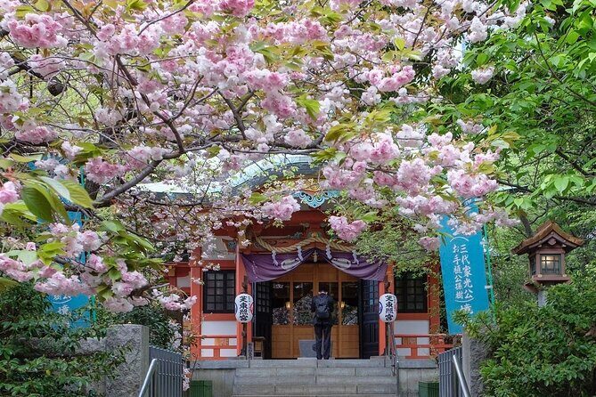 Tokyo Tower Adventure 60 Minute Scenic Rickshaw Ride - What Reviewers Say