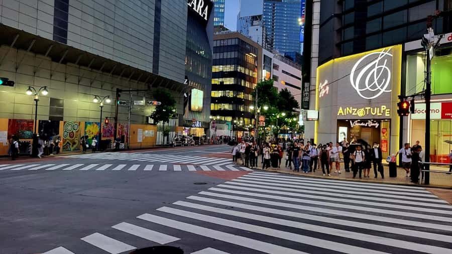 Tokyo Tower, Sensoji Temple, Shibuya Crossing Day Trip - What Travelers Are Saying