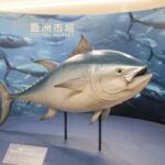 Tokyo: Toyosu Tuna Auction & Tsukiji Market Gourmet Tour - Final Thoughts