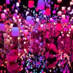 Tokyo Uncovered: A Luxury Day of Tradition & Tech - Practical Considerations and Tips