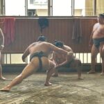 Tokyo: Visit Sumo Morning Practice with English Guide - Post-Training: Asking Questions & Souvenir Photos