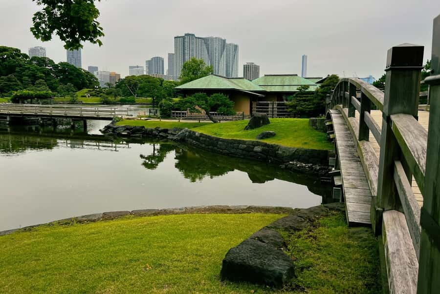 Tokyo Waterfront Tour: Tsukiji Market & Bay Area 3.5 Hrs - Practical Details and Value