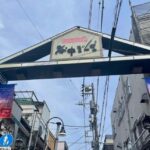 Tokyo: Yanaka and Ueno Walking Tour with Beer - What To Expect and Practical Tips
