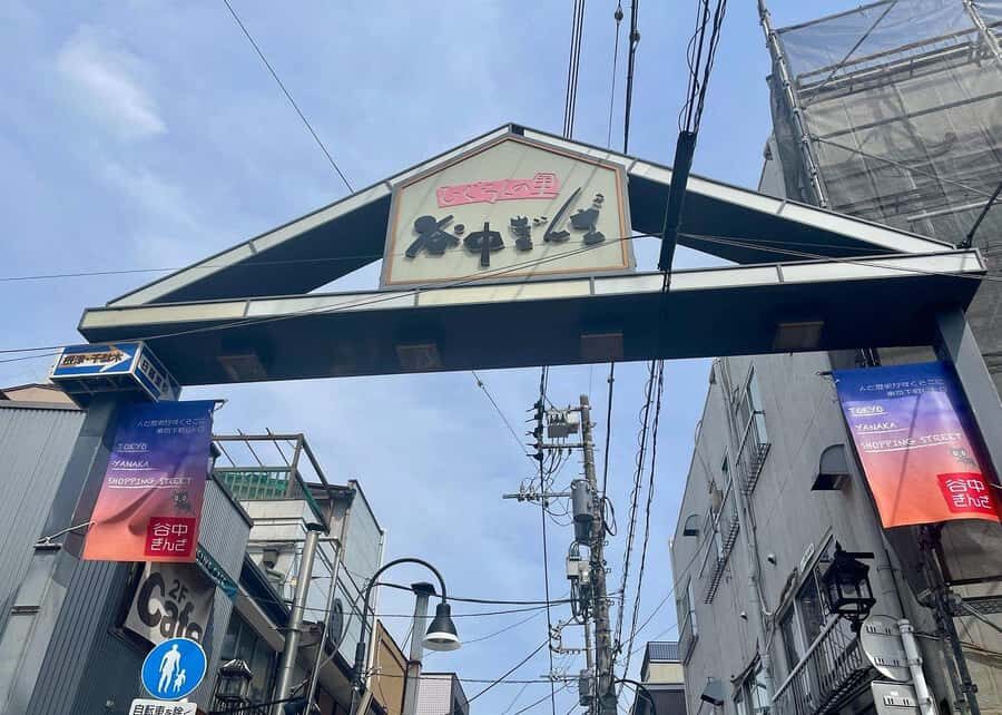 Tokyo: Yanaka and Ueno Walking Tour with Beer - What To Expect and Practical Tips