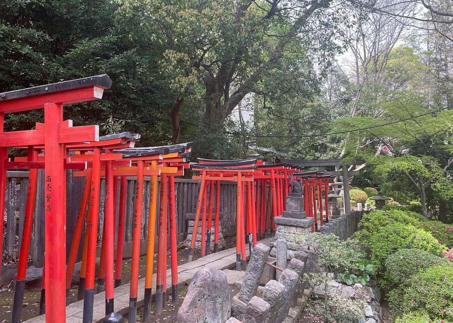 Tokyo: Yanaka and Ueno Walking Tour with Beer - Starting Point and First Impressions