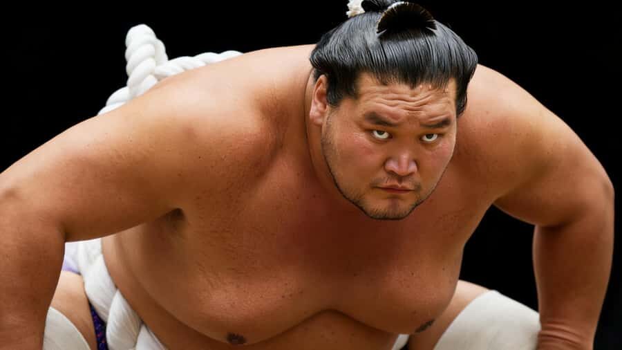 Tokyo: Yokohama Sumo Jungyo Tournament Trip on Apr 16th 2026 - Who Would Love This Tour?