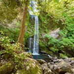 Tokyo: Yuhi no Taki Waterfall Meditation Experience - In-Depth Breakdown of the Experience