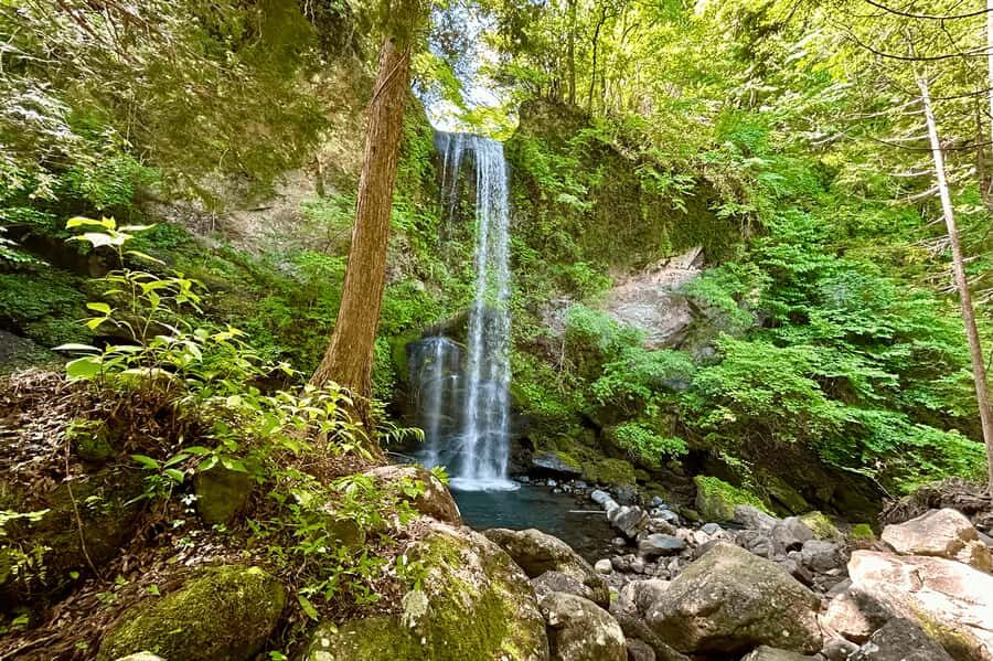 Tokyo: Yuhi no Taki Waterfall Meditation Experience - In-Depth Breakdown of the Experience