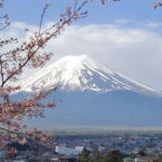 Tokyo:2 Days Mount Fuji & Hakone Private Tour (Customizable) - The Practical Details
