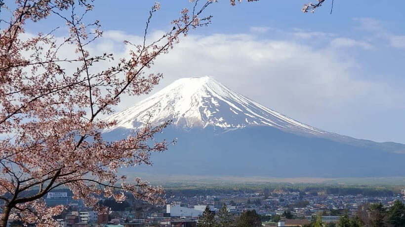 Tokyo:2 Days Mount Fuji & Hakone Private Tour (Customizable) - The Practical Details