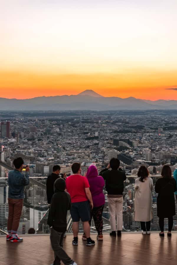 Tokyo's Contrasts: 9-Hour Guided Cultural Journey - The Customizable Nature of the Tour