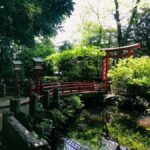 Tokyo's Shibuya On Foot, With Hachiko & the Lucky Cat Temple - What the Reviews Say