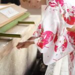 :Tokyo,Shibuya /Meiji Shrine tour in KIMONO/English-friendly - Practical Details and Tips