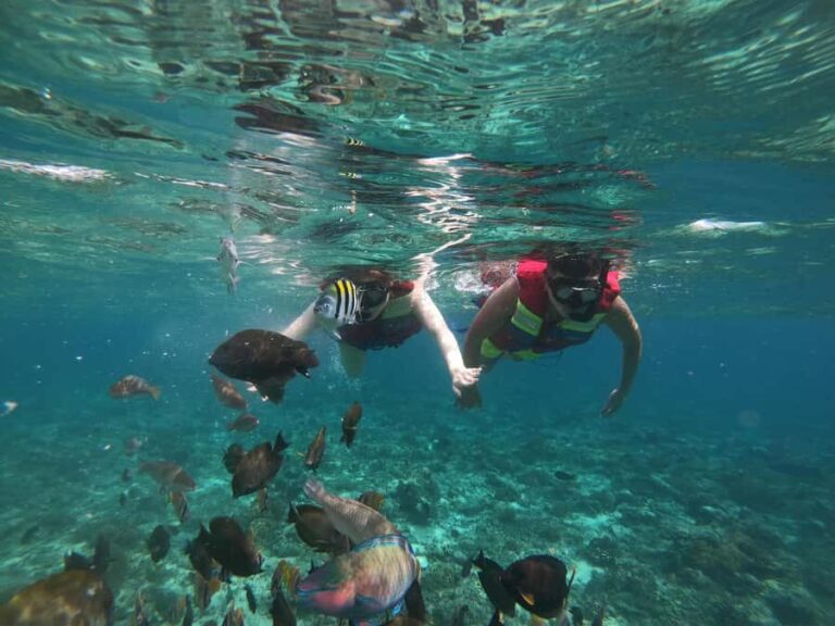 Tour exclusive secret gilis. - Final thoughts