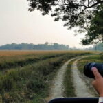 Tour of Pobitora Wildlife Sanctuary from Guwahati with Safari, Lunch and Guide - What We Like About the Tour