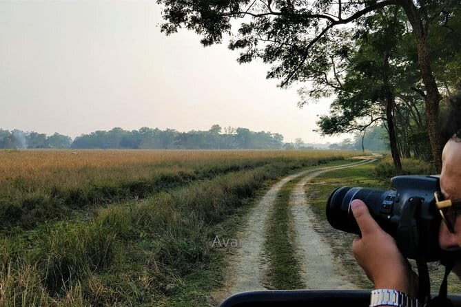 Tour of Pobitora Wildlife Sanctuary from Guwahati with Safari, Lunch and Guide - What We Like About the Tour