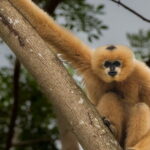 Tour of the Wildlife Rescue Center - Why This Tour Offers Great Value