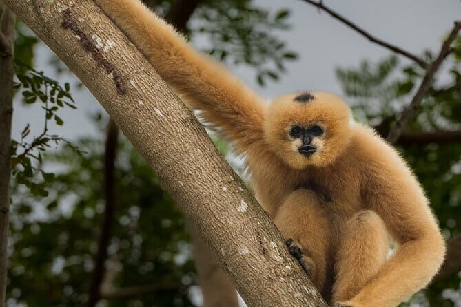 Tour of the Wildlife Rescue Center - Why This Tour Offers Great Value