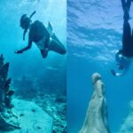 Townsville: Great Barrier Reef and MOUA Snorkeling Day Tour - The Practicalities