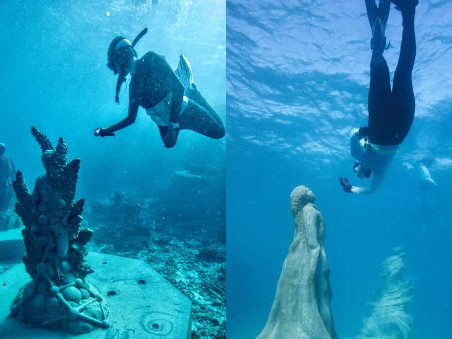 Townsville: Great Barrier Reef and MOUA Snorkeling Day Tour - The Practicalities