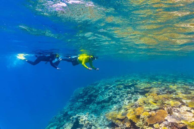 Townsville & Magnetic Island: MOUA & Reef Snorkel Experience - The Journey Back and Overall Experience