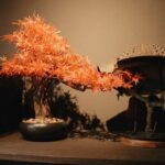 Traditional Japanese Knife Sharpening Class in Kyoto - Why This Experience Stands Out