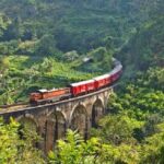 Train Tickets from Nanuoya/ Ambewela (NuwaraEliya) to Ella - Practical Details and Tips