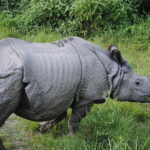 Travel to Nepal 10 days to explore the Culture and Best Views - Panauti and the Village Life Experience