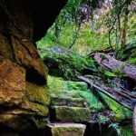 Trek Shoot and Soothe Hiking Tour from Springwood Blue Mountains - Practical Aspects and Value