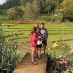 Trek to Little Adam's Peak and Nine Arches Bridge In Ella - A Deep Dive into the Experience