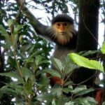 Trekking Journey Discover Bach Ma National Park from Hue - Practical Considerations