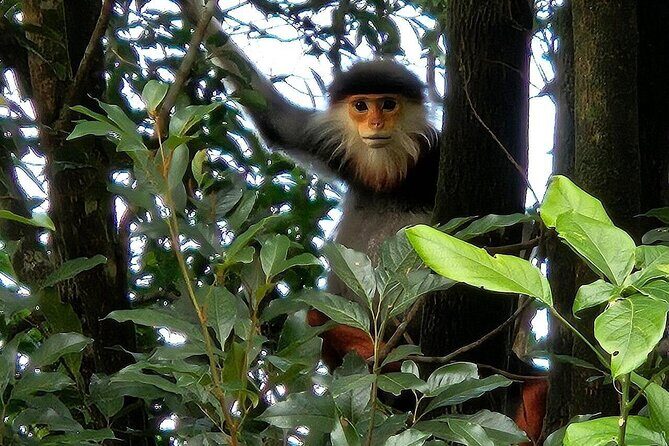 Trekking Journey Discover Bach Ma National Park from Hue - Practical Considerations