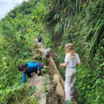 Trekking Sapa 1 Day With Local Guide, Terraced Rice Fields - Why This Tour Offers Great Value