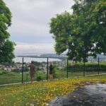 Trinidad Treasures Pitch Lake Temple and Scarlet Ibis - Who Should Consider This Tour?