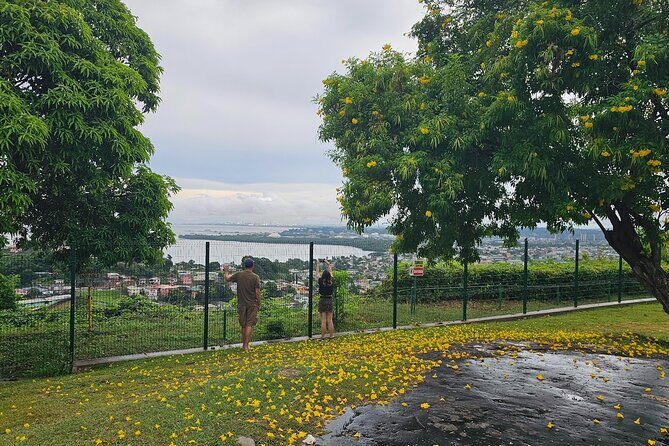 Trinidad Treasures Pitch Lake Temple and Scarlet Ibis - Who Should Consider This Tour?