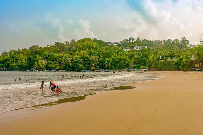 Trinidad True North Coast Excursion - Authenticity and User Feedback