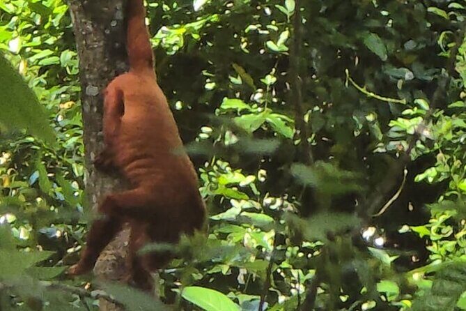 Trinidad's Mud bath - Final Thoughts: Who Will Love This Tour?