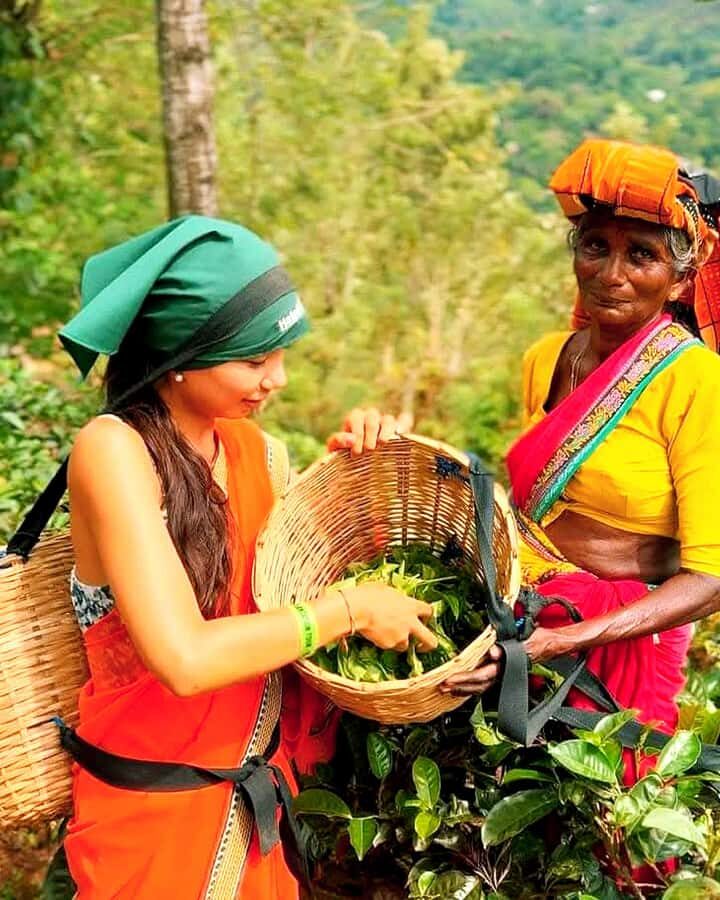 Trip from Kandy to Ambewela Railway Station via Nuwara Eliya - Logistics, Value, and Practical Tips