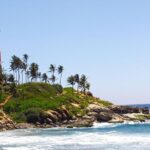 Trivandrum Airport to Kovalam Hotels - Why This Transfer Is a Great Choice for Your Trip