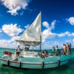 Tropical Punta Cana Booze Cruise  Snorkel, Sandbar & Party Vibes - What’s Included & What to Consider