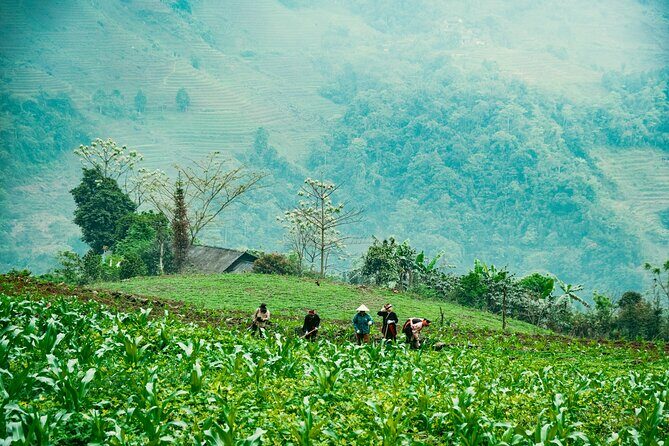 True North Ha Giang Loop Motorbike Tour 4 Days of Adventures - What’s Included and What’s Not