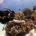 Try Scuba Diving in Racha Yai and Noi for Non-Certified - Detailed Itinerary Breakdown