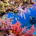 Try Scuba Diving in Racha Yai/noi: 3 Dives for Non-Certified - The Dive Sites: Racha Yai & Racha Noi