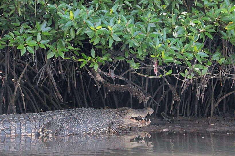 Tuaran, Sabah: Mengkabong Paradise - What Sets This Tour Apart?