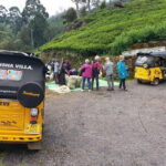 Tuk Tuk safari and Picnic in The Tea Plantation from Ella,Haputale & Bandarawela - A Closer Look at the Tour Itinerary