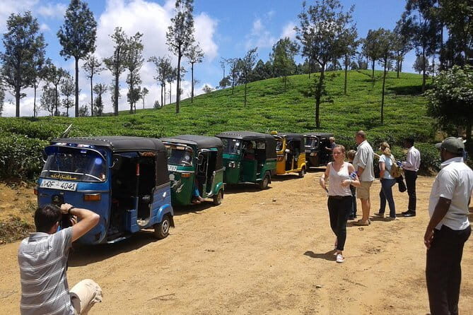 Tuk Tuk safari and Picnic in The Tea Plantation from Ella,Haputale & Bandarawela - The Itinerary: What to Expect