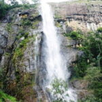 TukTuk Safari in Tea & Spice plantation,View Points,Upper Diyaluma WaterFalls, - Transportation and Overall Value